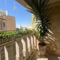 گلدان یوکا ریشه پر ۳ متری تک شاخه زیبا|گل و گیاه طبیعی|تهران, پاسداران|دیوار