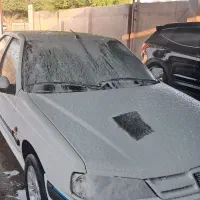 کارگر وارد به کار در کارواش