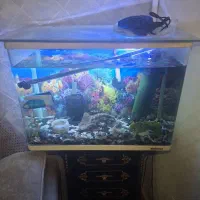 آکواریوم ماهیران