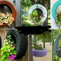 گلدان|گل و گیاه طبیعی|محمدشهر, شهرک پیام (مهرالبرز)|دیوار