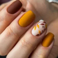 کلاس رفع اشکال یکروزه ناخن|خدمات آموزشی|رشت, کاکتوس|دیوار