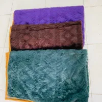 پتوخزر مرینوس