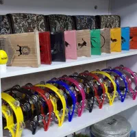 ضربوتمپو با پایه|درام و پرکاشن|قزوین, |دیوار