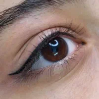 میکروبلیدینگ. خط چشم. شیدینگ لب. بن مژه|خدمات آرایشگری و زیبایی|خمینی‌شهر, |دیوار