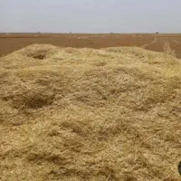 خرید فروش کاه