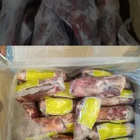 برزیلی گوسفند گوسالع