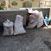 کود کفتر مجانی
