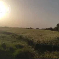 زمین ابی اجاره منطقه ماهیدشت