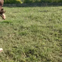 فروش فوری زمین ۹۰متری