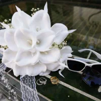 آتلیه تخصصی عروس عکس و فیلم رونیکا