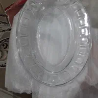 دیس نو