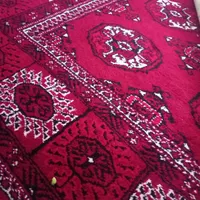 قالی رنگ قرمزخوشرنگ|فرش|بندر ترکمن, |دیوار