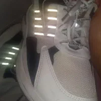 کفش نو سایز ۴۲ با جعبه