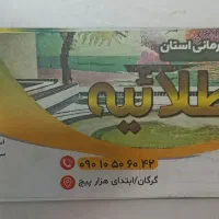 بلیط استخر آبدرمانی