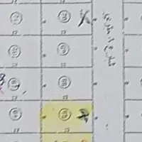 فروش چهار قطعه زمین