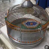 سهره (خاکی) اوستا دهن هزار مست شلاقی استثنایی