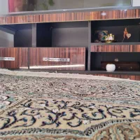 زیر تلویزیونی تمیز و مرغوب