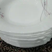 ظروف پذیرایی