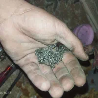 زنجیر یزدی اصل.توی جلت کبریت جت میشه|کلکسیون اشیاء عتیقه|رودشت (چهارمحال و بختیاری), |دیوار