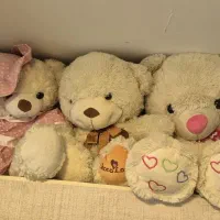 سه تا خرس بزرگ عروسک + پت بزرگ ۶۰۰تومان