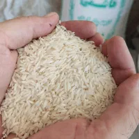برنج سورت و الک شده محلی