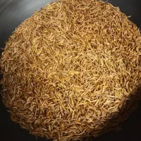 کرم میلورم