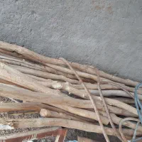 چوب فروشی|عمده‌فروشی|جلگه ماژان, |دیوار