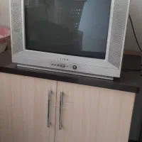 تلوزیون