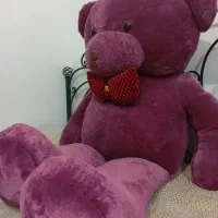 خرس یک و نیم متری