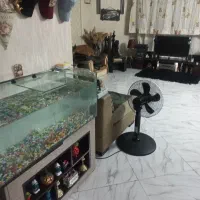 آکواریوم با کلیه لوازم ۲کوسه ۲اسکار