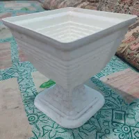 گلدان|گل و گیاه طبیعی|بم, |دیوار