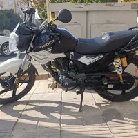 ایردوکو تمیز و سرحال