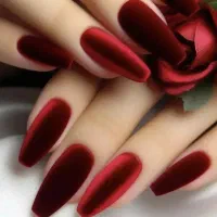 تخفیف ویژه یلدادر مرکز تخصصی کاشت و ترمیم ناخن