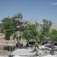 پایه بتنی فنس و باغ انگور اصلی