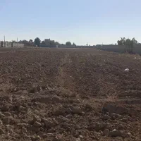 فروش زمین کاربری کشاورزی