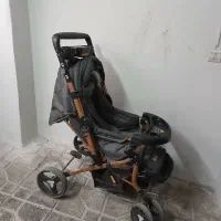 کالاسکه و کریر دلیجان مدل بنیتا