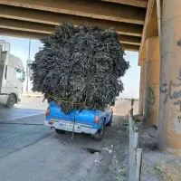 نوار تیپ کیخرم