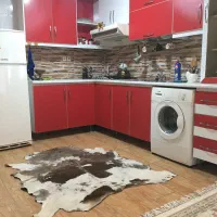 پوست چرم تزیینی پادری