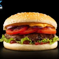 گریل کار برگری