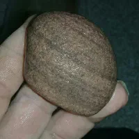 شهاب سنگ جواهرات زیباآسمانی