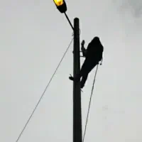 فروش وتعمیر و نصب انواع دوربین و دزدگیر اماکن