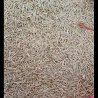 زمین کشاورزی با آب میخوام