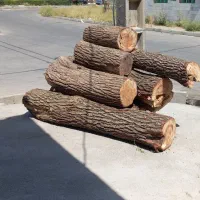 خریدار چوب