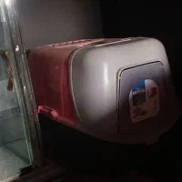 ظرف خاک گربه در دار