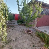 خانه باغ،سوله، جاده کنار تالار پاسارگاد|فروش دفتر صنعتی، کشاورزی، تجاری|بافت, |دیوار