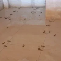 کاشی سرامیک کار هستم