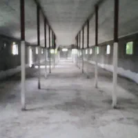 گاوداری 100 راسی(پرواری) خمام-شیجان|فروش دفتر صنعتی، کشاورزی، تجاری|خمام, |دیوار