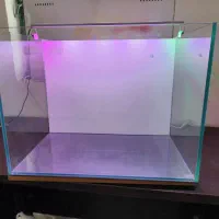 آکواریوم ریملس apa