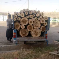 خریدار همه نوع چوب خشک وخیس