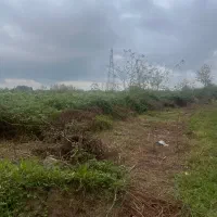 زمین باغی گوشلوندان